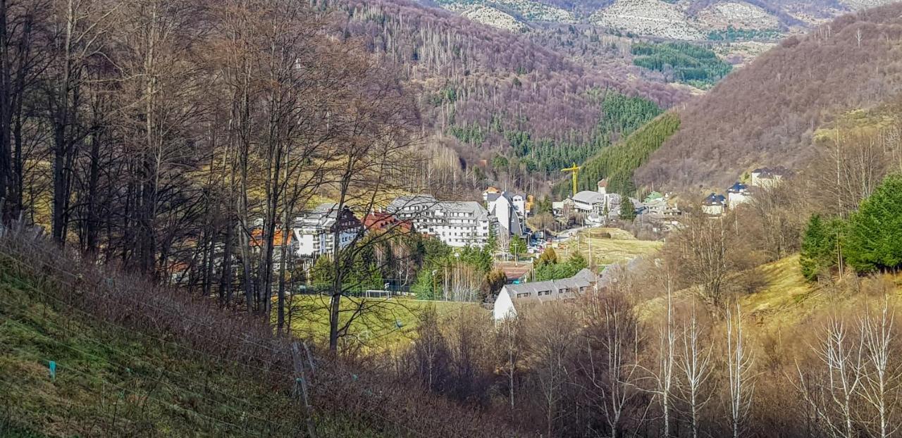 Apartman Cvejic - Suncani Apartmani Brzeće Exteriér fotografie